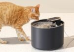 Fontaine à eau automatique pour chat et chien